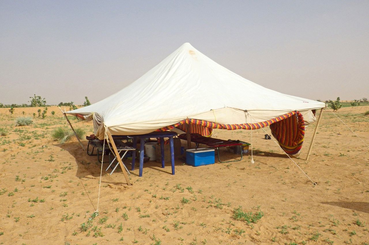 A tent provides shelter and serves as the base of operations for Maeno’s field research. (© Koutaro Ould Maeno)
