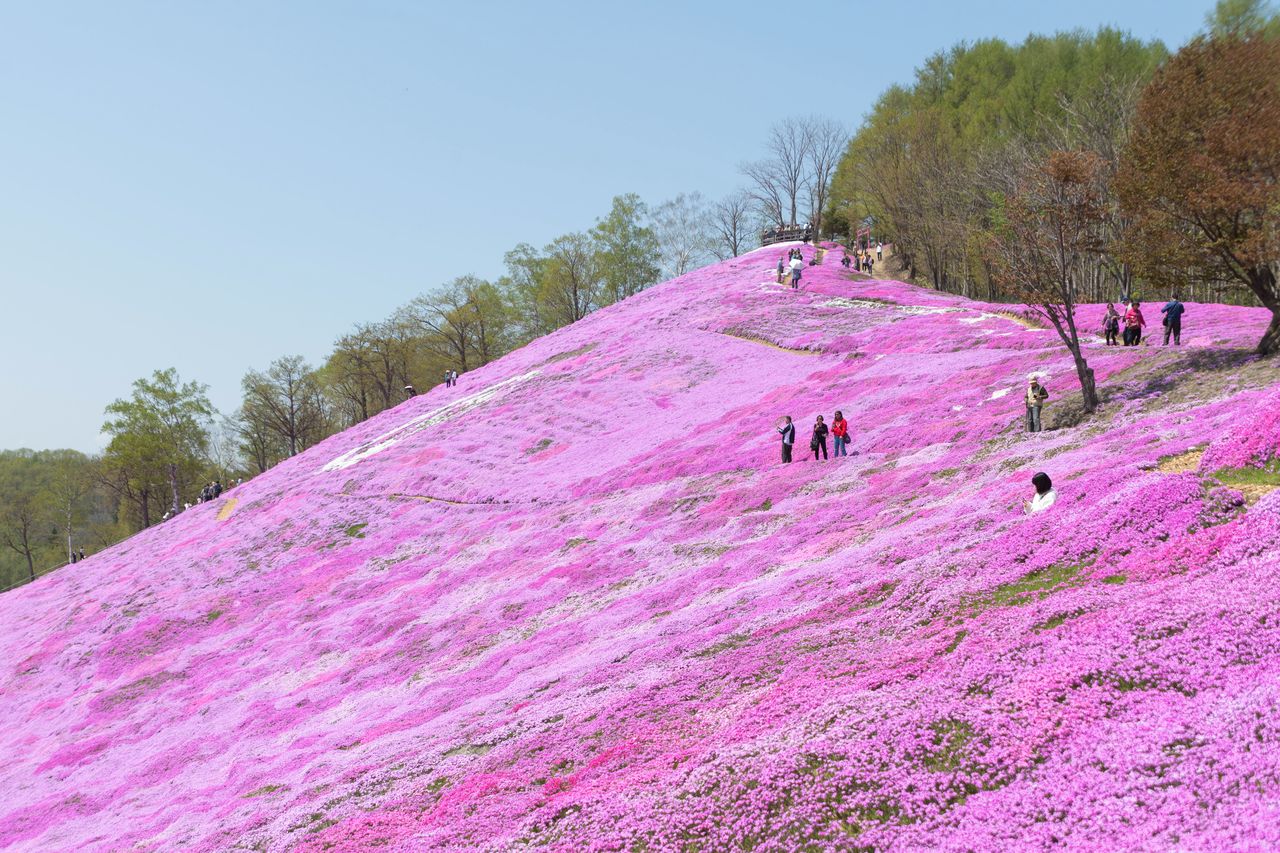 右上、奥の方に展望台と神社が見える