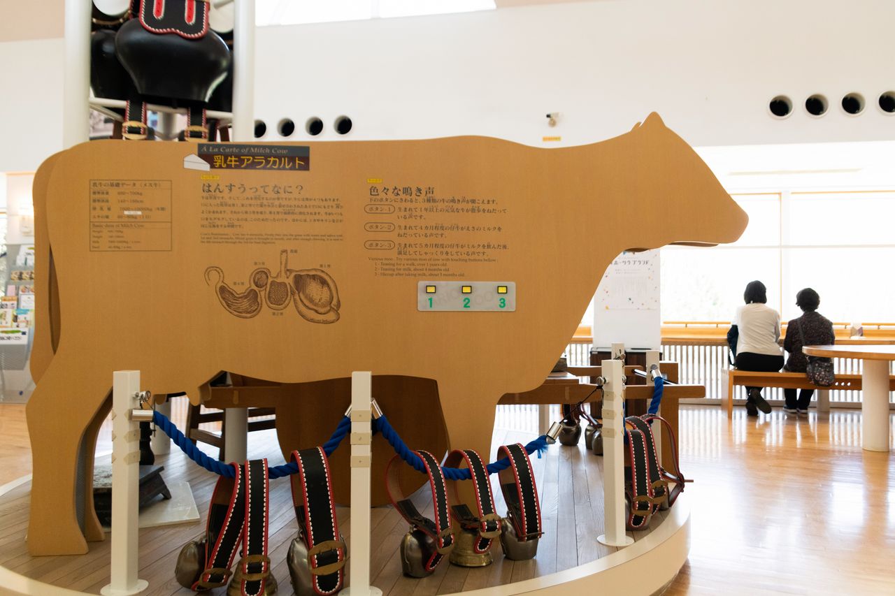 実物大の牛型パネルで乳牛のミニ知識を展示。牛の鳴き声も聞こえてくる