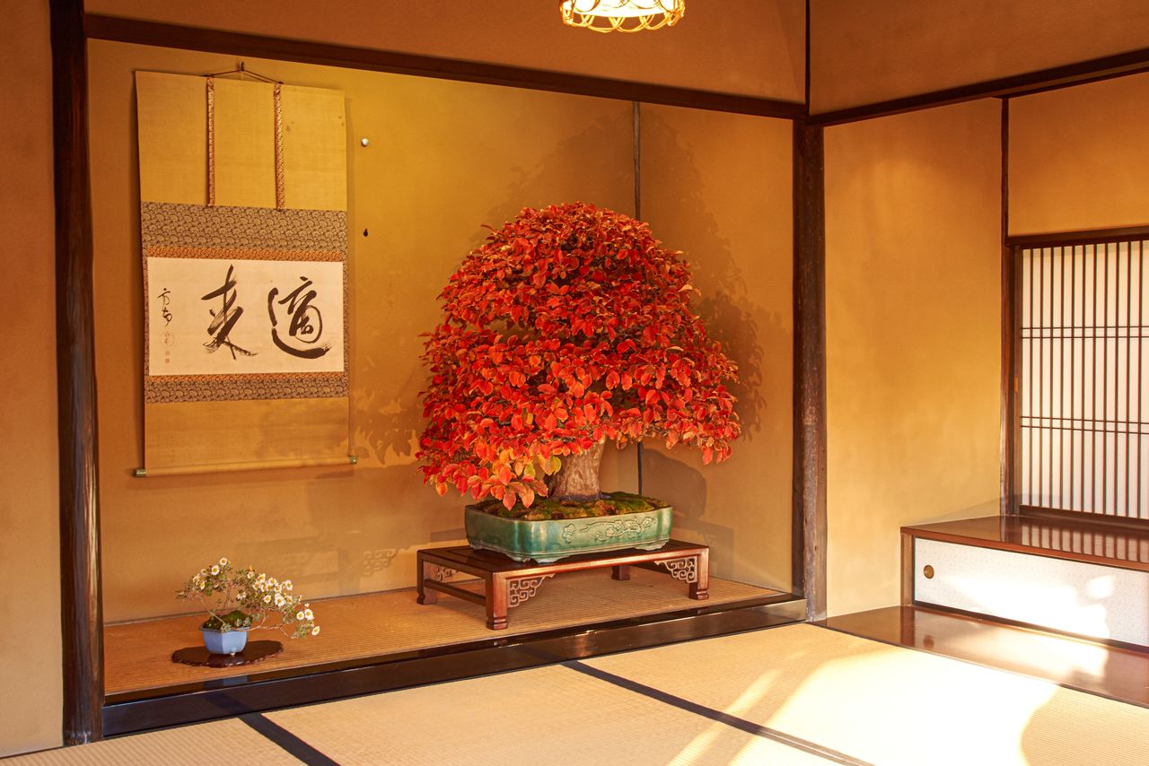 床之間通常裝飾著書畫掛軸、盆栽及插花(PIXTA)