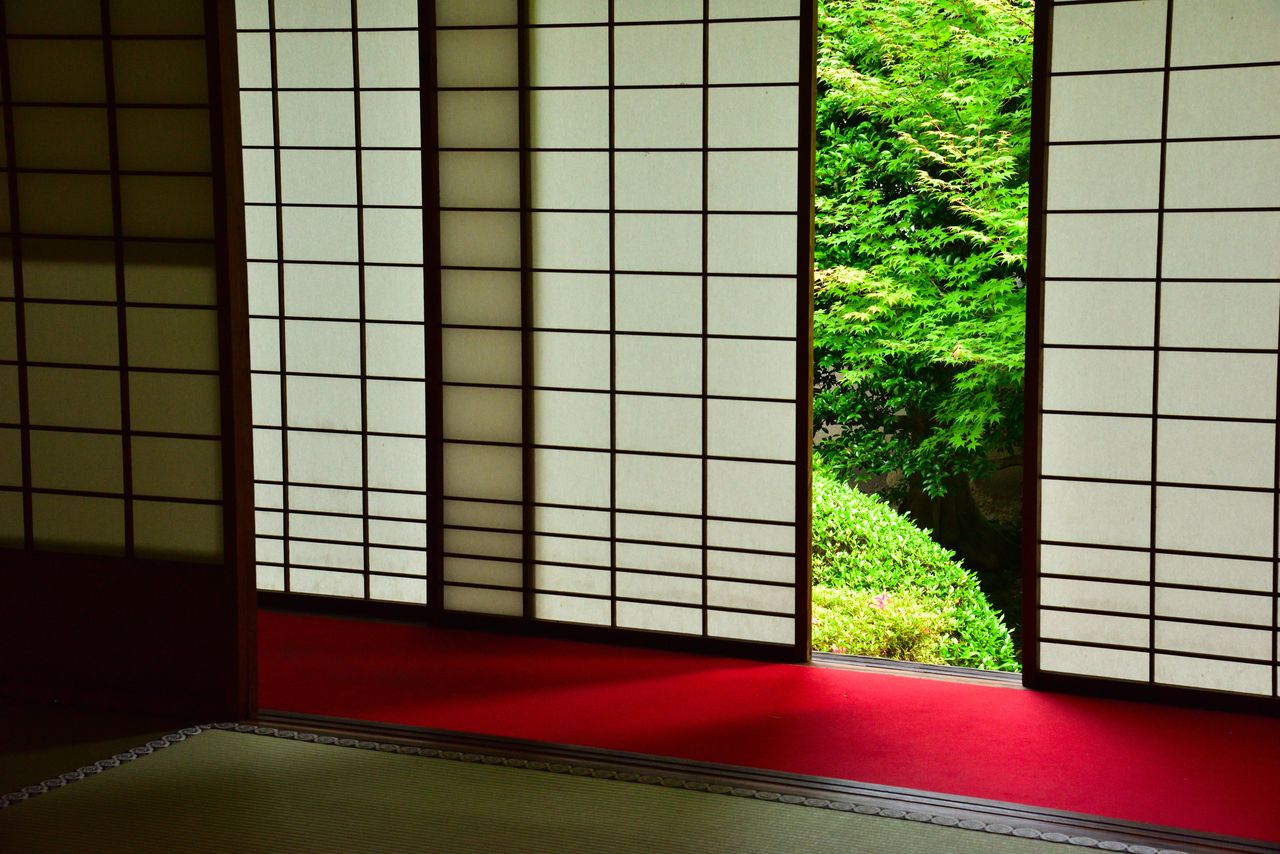 從障子縫隙中窺見的新綠庭園,京都市泉涌寺別院・雲龍院(PIXTA)