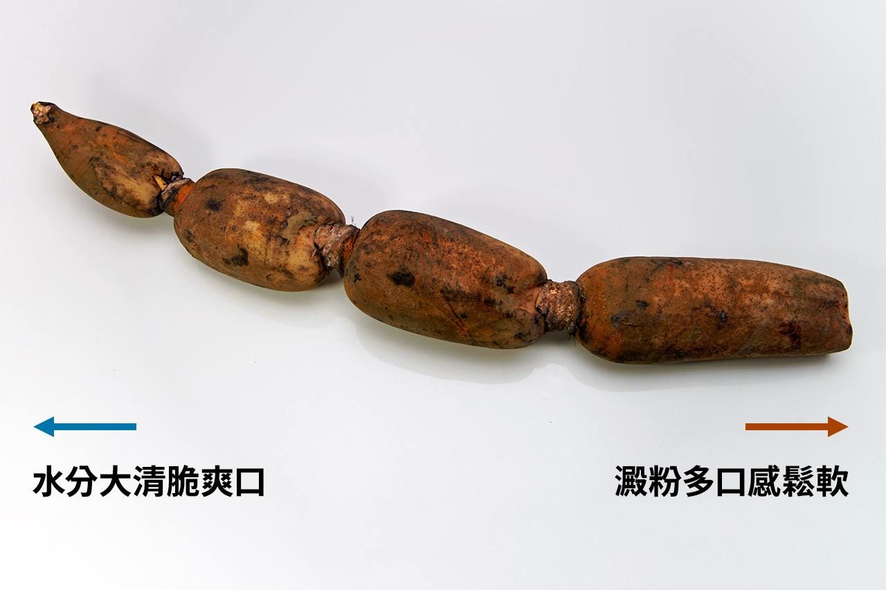 (PIXTA)