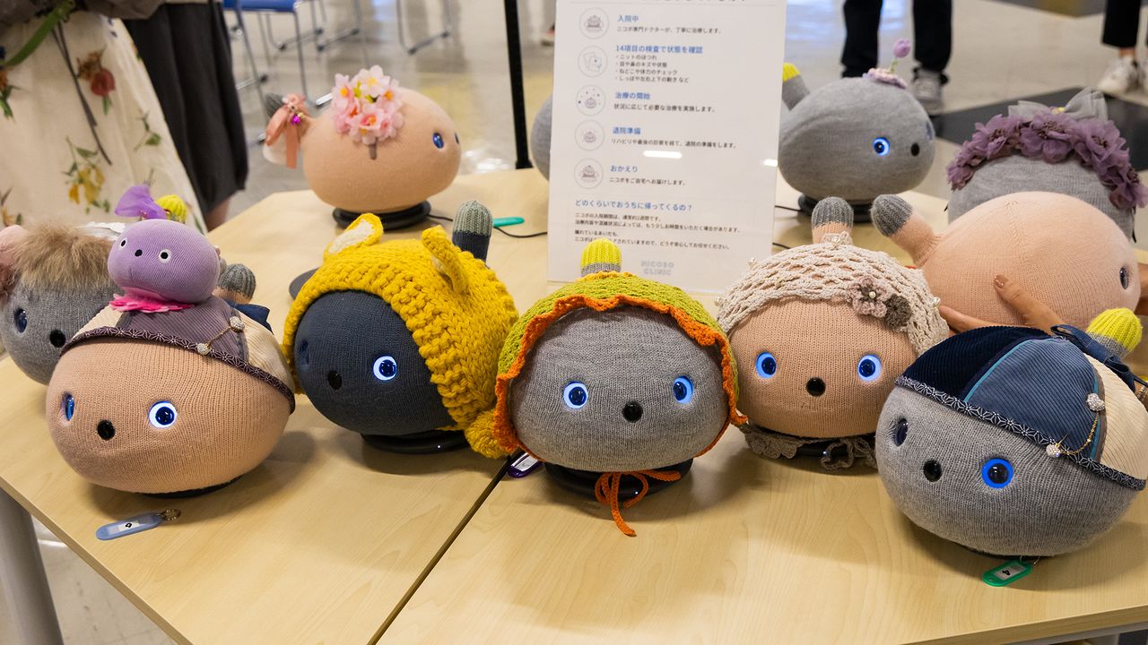 戴著別出心裁的帽子、精心打扮的NICOBO們