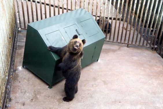 具備讓熊隻難以打開門扉之上鎖功能的垃圾桶「Bear Smart Box」實證實驗現場,登別熊牧場(NPO法人Picchio、PR TIMES)