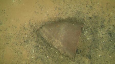 在琵琶湖水中遺跡「葛籠尾崎湖底遺跡」發現的繩文土器(滋賀縣提供)