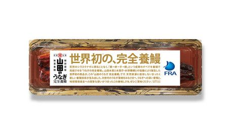 全球首度進行試銷的完全養殖蒲燒鰻魚(山田水產提供)