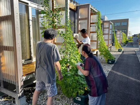 在能登半島地震災區現場進行作業的NPO法人「綠色窗簾應援團」理事長鈴木雄二(右後方)等人。2025年8月攝於石川縣七尾市(由該法人提供)