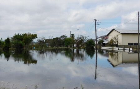 印旛沼氾濫造成大片土地淹水。24日上午攝於千葉縣成田市