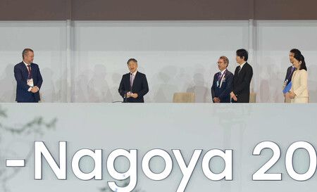 日皇德仁在開幕典禮上宣布大會開幕。18日攝於愛知縣Paloma瑞穗體育場