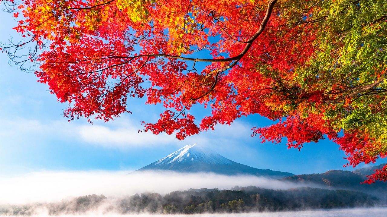 لقاء الخريف الساحر بألوانه التي ليس لها مثيل في اليابان Nippon Com