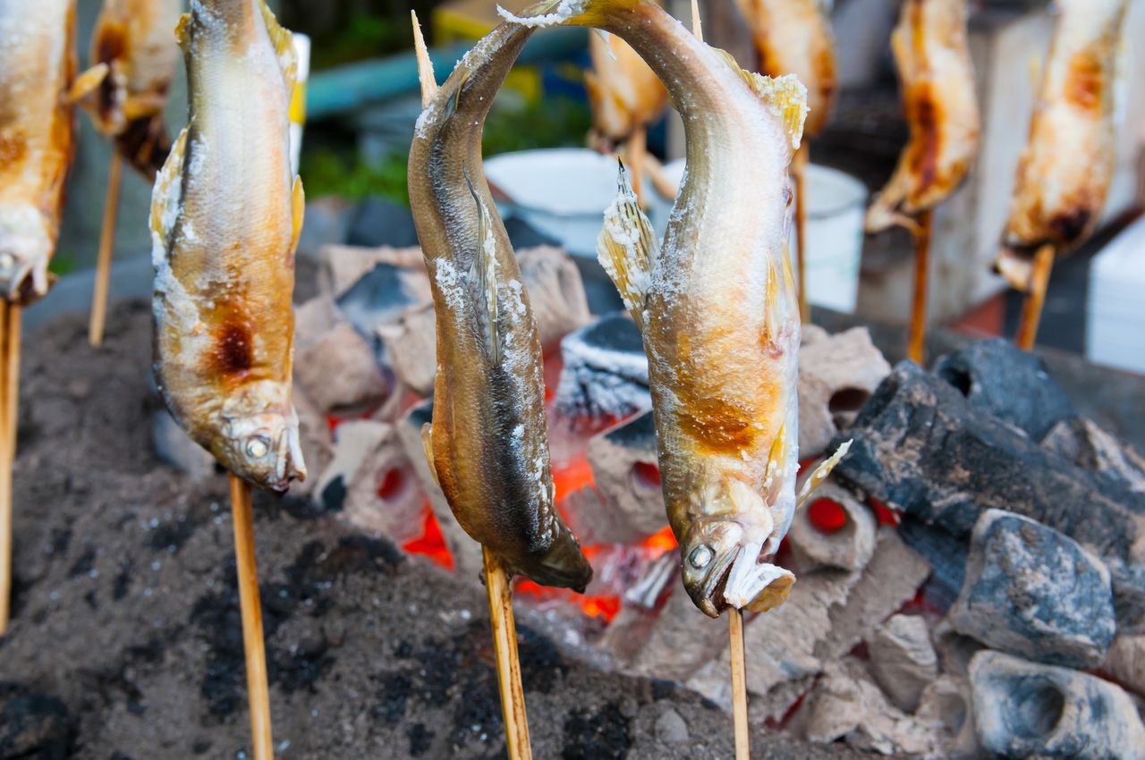 أفضل طريقة للاستمتاع بمذاق أسماك أيو – ذات الصلة الوثيقة بمحافظة غيفو – عبر تمليحها وشيها بوضعها بالقرب من الفحم (© بيكستا)