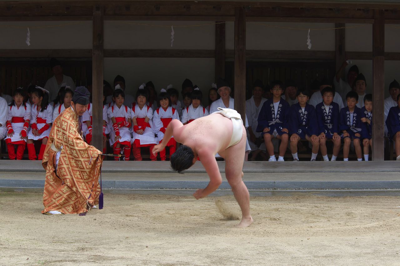 يتم طرح أحد مصارعي السومو الضخام أرضًا من قبل خصم غير مرئي. (© مكتبة هاغا)