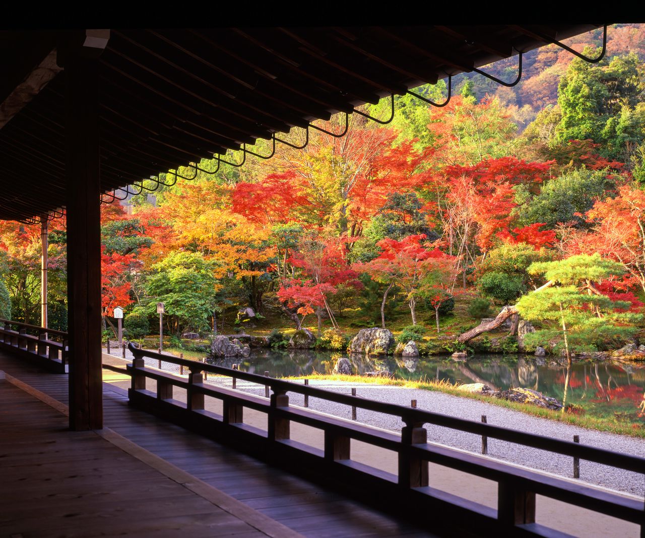 منظر لألوان الخريف من داخل قاعة دايهوجو الرئيسية. (© إيديت بلس)