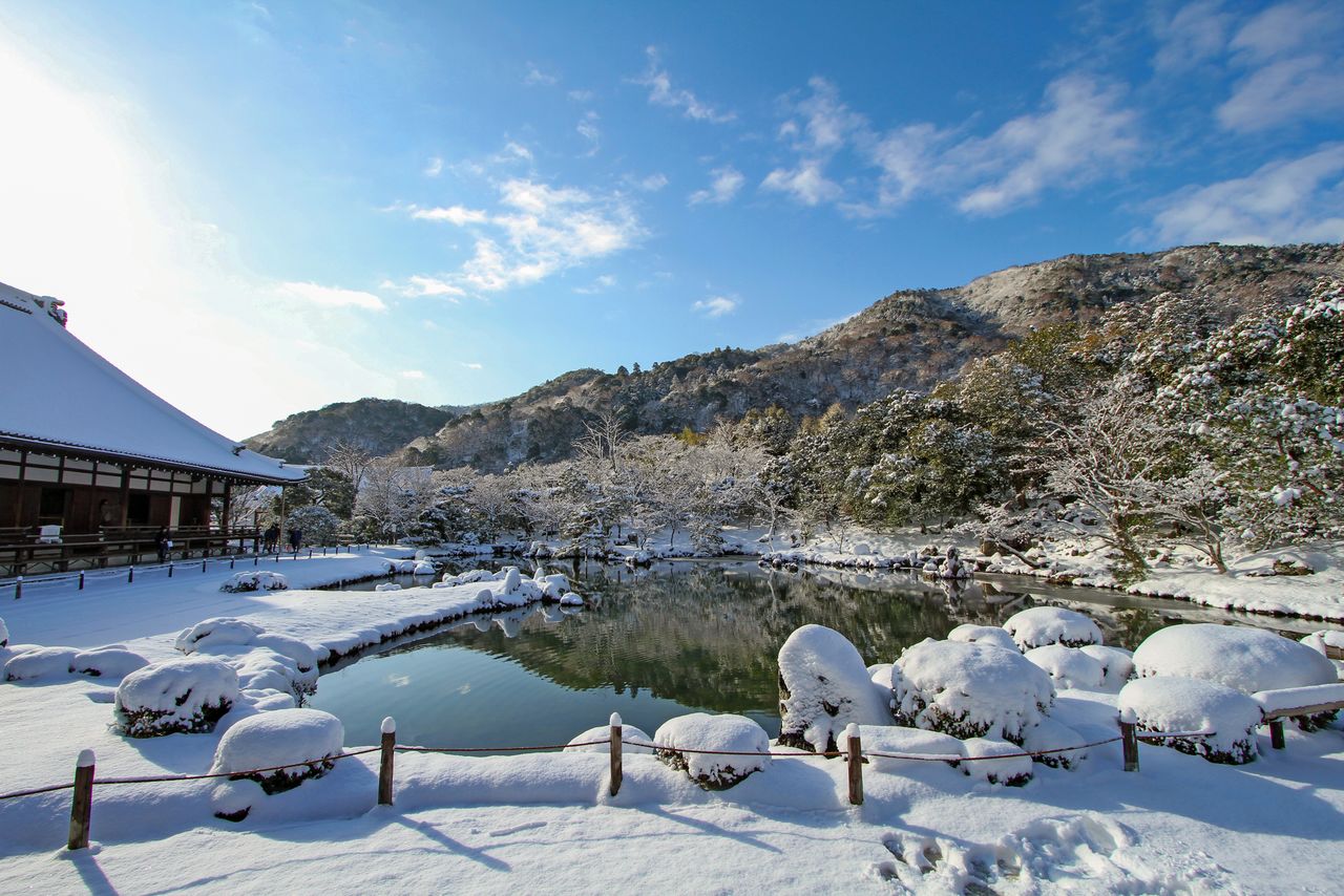 حديقة المعبد في الشتاء. ويعد هذا المنظر الفضي مشهدا نادرا. (© إيديت بلس)