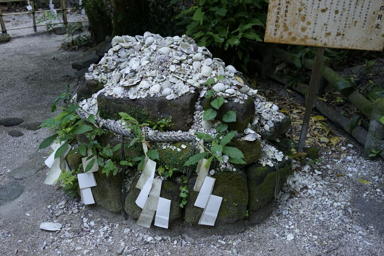 عدد لا يحصى من أصداف الوَدَع تعتلي صخرة بارزة في قاعة الصلاة السابقة. (© أوساكا هيروشي)