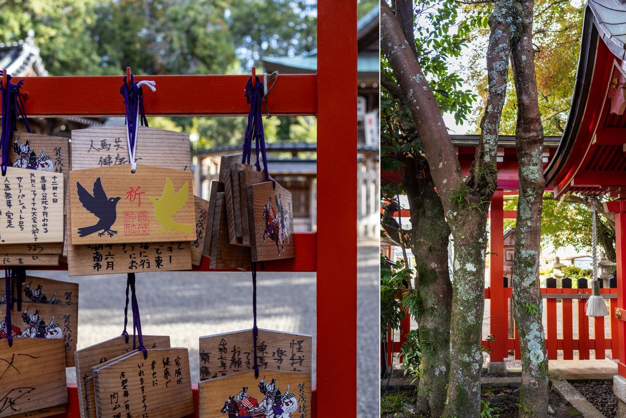 يسار: العديد من الإيما تظهر أمنيات متعلقة بالخيول. يمين: شجرة ساكاكي مقدسة ذات جذع متشعب. (© Nippon.com)