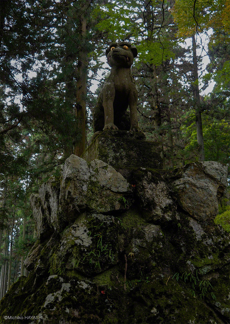  ذئب حجري يحرس مدخل معبد جومينى في جبال محافظة سايتاما.