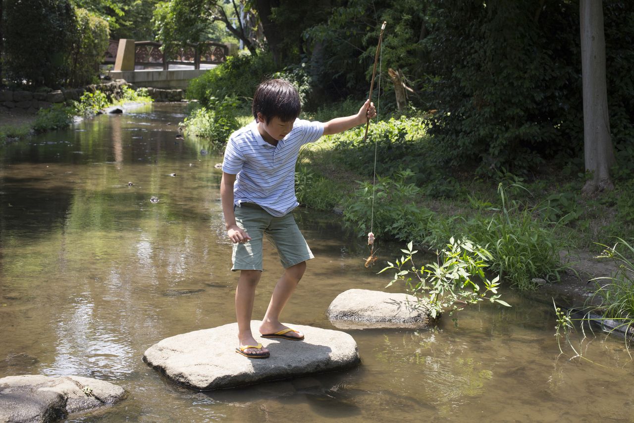 كل ما تحتاجه هو بعض الطُعم في نهاية العصا. (الصورة من بيكستا)