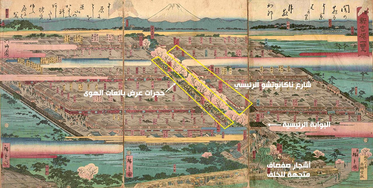 منظر ليوشيوارا يظهر حجرات عرض بائعات الهوى على جانبي شارع ناكانوتشو الرئيسي. يقال إن ’’أشجار الصفصاف المتجهة للخلف‘‘ اكتسبت اسمها من النظرات الحزينة للرجال عند مغادرتهم حي المتعة. الصورة بعنوان ’’منظر لشين يوشيوارا في العاصمة الشرقية‘‘ لهيروشيغي الثاني (الصورة بإذن من مكتبة طوكيو متروبوليتان المركزية).