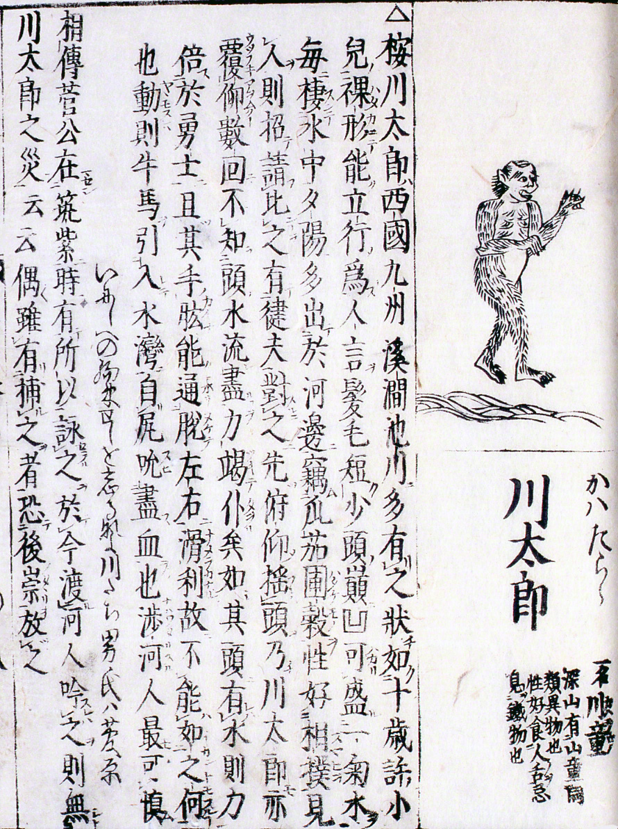 تم تقديم كابّا تحت اسم كاواتارو في موسوعة Wakan sansai zue (مجموعة مصورة يابانية-صينية لمكونات الكون الثلاثة) الصادرة عام 1715، وتم تصويرها على هيئة قرد مشعر. تم التحرير بواسطة تيراجيما ريوأن. (إهداء من متحف التاريخ بمحافظة هيوغو)