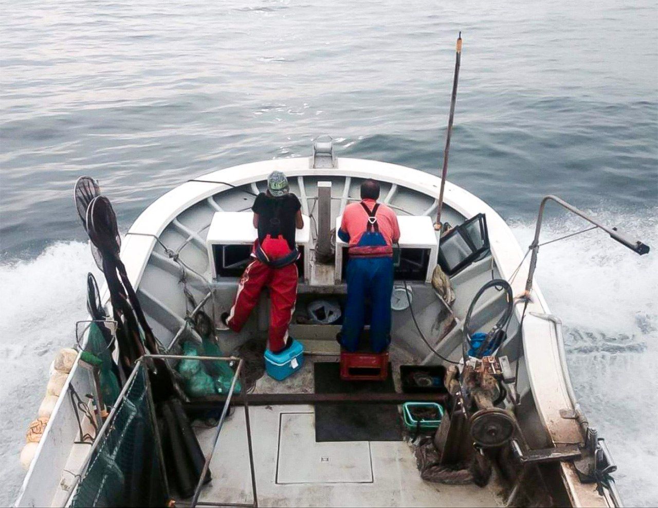 الصورة من ناكاساطو شووتا.