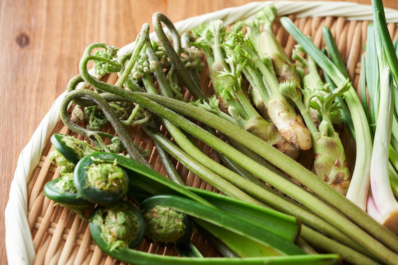 الخضروات من اليسار إلى اليمين: كوغومي، وارابي، تارانومي، أوروي (حقوق الصورة لبيكستا).