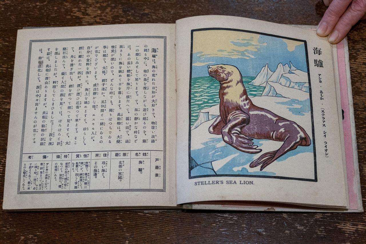 من بين متعلقات جدها الأكبر أيضًا موسوعة مصورة للحيوانات تعود لعام 1915 من تأليف عالم الأحياء الياباني الذي ينتمي للرعيل الأول من العلماء إيشيكاوا تشيوماتسو وآخرين. (هاياشي ميتشيكو)