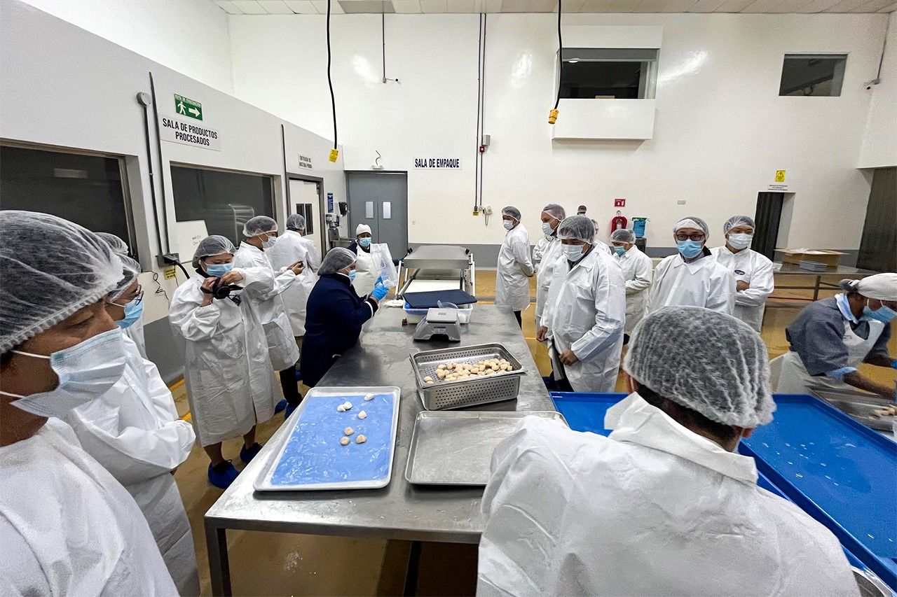 بعثة صناعة المأكولات البحرية اليابانية خلال زيارتها لإنسينادا في شهر مارس/آذار 2024. (بإذن من منظمة التجارة الخارجية اليابانية)