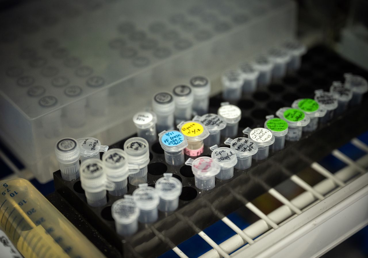 (© يوكوزيكي كازوهيرو)