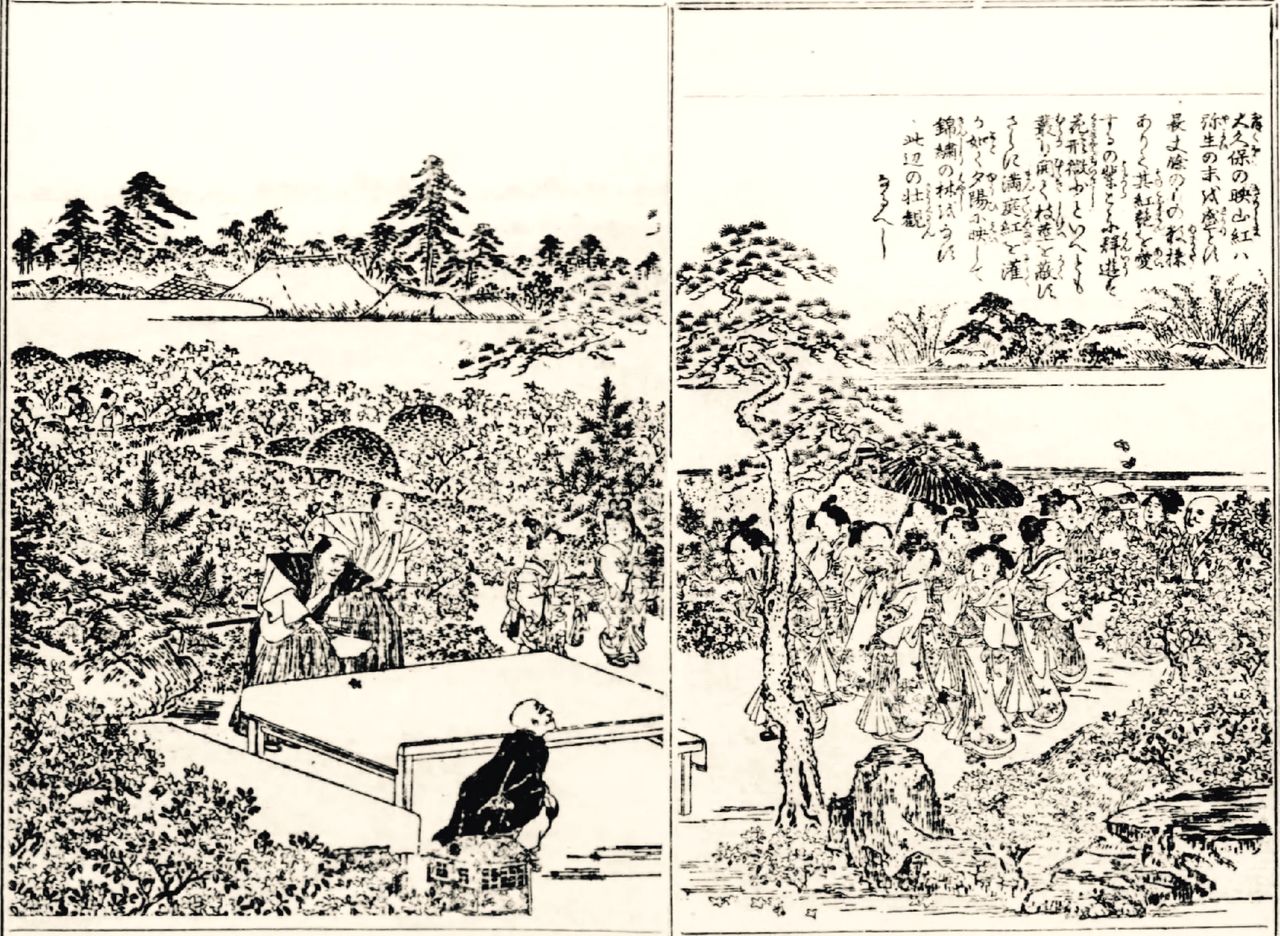 أزهار الأزاليا التي زرعتها فرقة المئة كانت محبوبة لدى عامة الناس وتُعرف باسم ”أوكوبو إيسانكو/الأزاليا الحمراء الأرجوانية“. المصدر: ”دليل معالم إيدو المصوَّر“ في أرشيف مكتبة البرلمان الوطنية