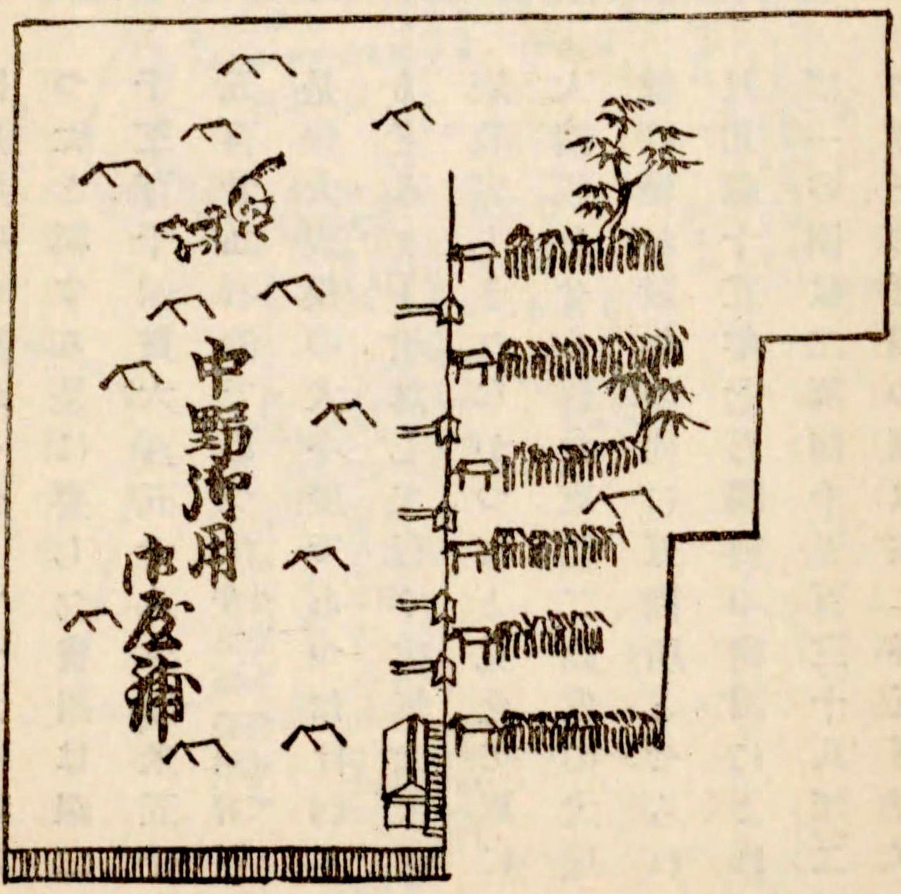 المخطّط المبسّط لـ ”المساكن الخاصة بالكلاب“ في ناكانو. يُقال إنّ بيوت الكلاب في أوكوبو كانت أصغر حجمًا من هذا المخطّط. المصدر: كتاب ”الجغرافيا التاريخية لمنطقة موساشينو، الجزء الثاني“ في أرشيف مكتبة البرلمان الوطنية