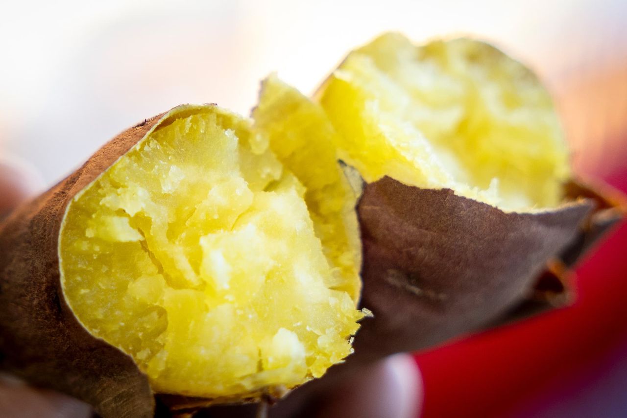 (بإذن من حكومة محافظة إيباراكي)