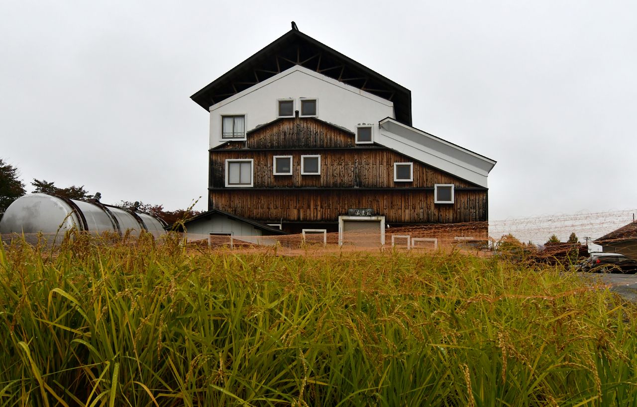 يقوم مصنع ياماتوغاوا بزراعة محاصيل الأرز الخاصة به على أرض مجاورة لمصنع الجعة.