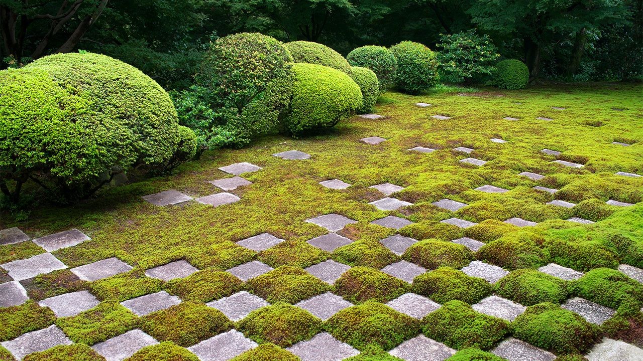الطحالب والأحجار تخلق نمط إيتشيماتسو في حديقة هوجو الشمالية، من تصميم شيغيموري ميري (1896–1975)، في معبد توفوكوجي. أفلو)