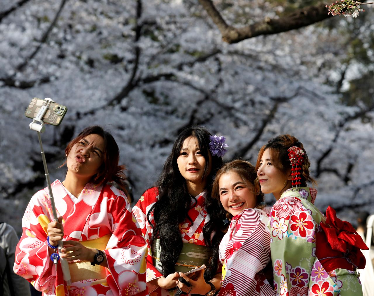 نساء من تايلاند يرتدين زي الكيمونو يلتقطن صور سيلفي بين أزهار الكرز المتفتحة في حديقة أوينو في طوكيو باليابان في 27 مارس/ آذار 2021. تصوير: كيم كيونغ هون، رويترز.