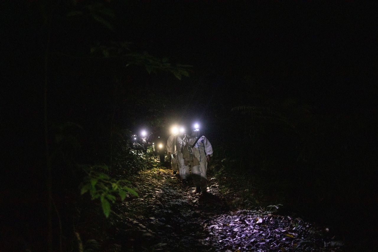 كيرك تاراي، عالم بيئة الخفافيش، يحمل كيسًا من القماش بداخله الخفافيش التي تم الامساك بها، بينما يسير مع فريق من العلماء عائدين إلى سفح جبل ماكيلينغ في لوس بانوس، مقاطعة لاجونا، الفلبين، 5 مارس/ آذار 2021. مع استمرارنا في الاقتراب والاتصال بالحياة البرية، فنحن نعرض أنفسنا عمدًا للأمراض والخطر. إذا لم نتمكن من إيقاف هذا، فقد نطور أيضًا تدابير للسيطرة للعمل على تقليل آثار أي تفشي محتمل في المستقبل، على أقل تقدير. هذا هو سبب أهمية هذا البحث. فمن خلال الحصول على البيانات الأساسية حول طبيعة وحدوث الإصابة بالفيروس الحيواني المحتمل في الخفافيش، يمكننا بطريقة ما التنبؤ بانتشار الأوبئة المحتملة وإنشاء بروتوكولات صحية مناسبة وسليمة وقائمة على العلم 
