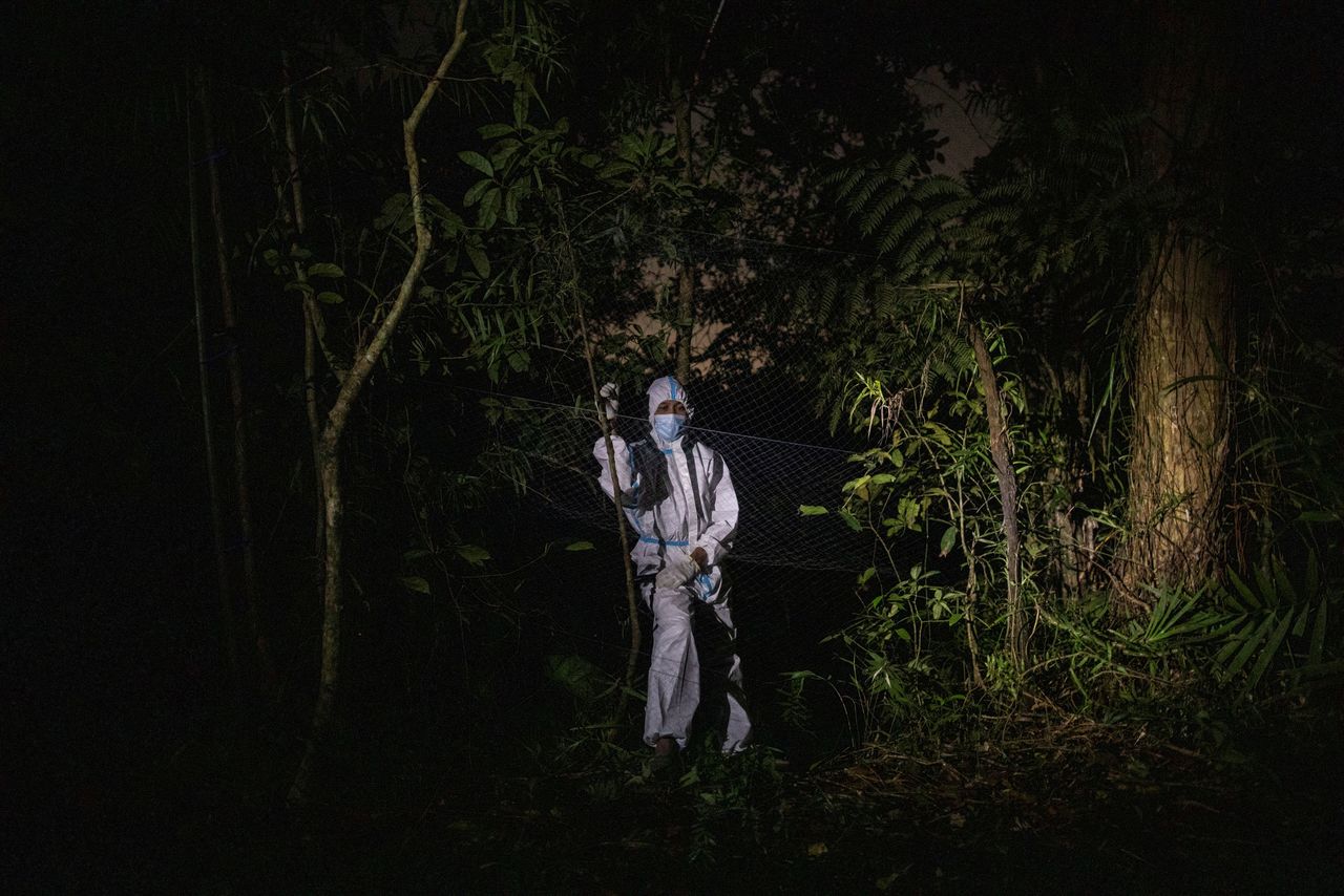 يقف ريان لاماس، وهو مساعد ميداني، بجوار شبكة صيد أقيمت لالتقاط الخفافيش، في جبل ماكيلينغ، لوس بانوس، مقاطعة لاجونا، الفلبين، 5 مارس/ آذار 2021. تصوير: إلويزا لوبيز - رويترز.