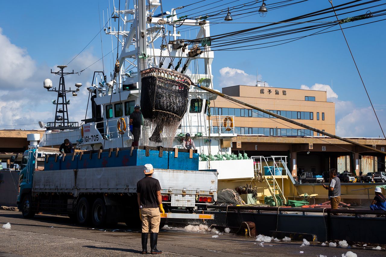 铫子市渔业合作社所在的第三批发市场，渔船正在卸货