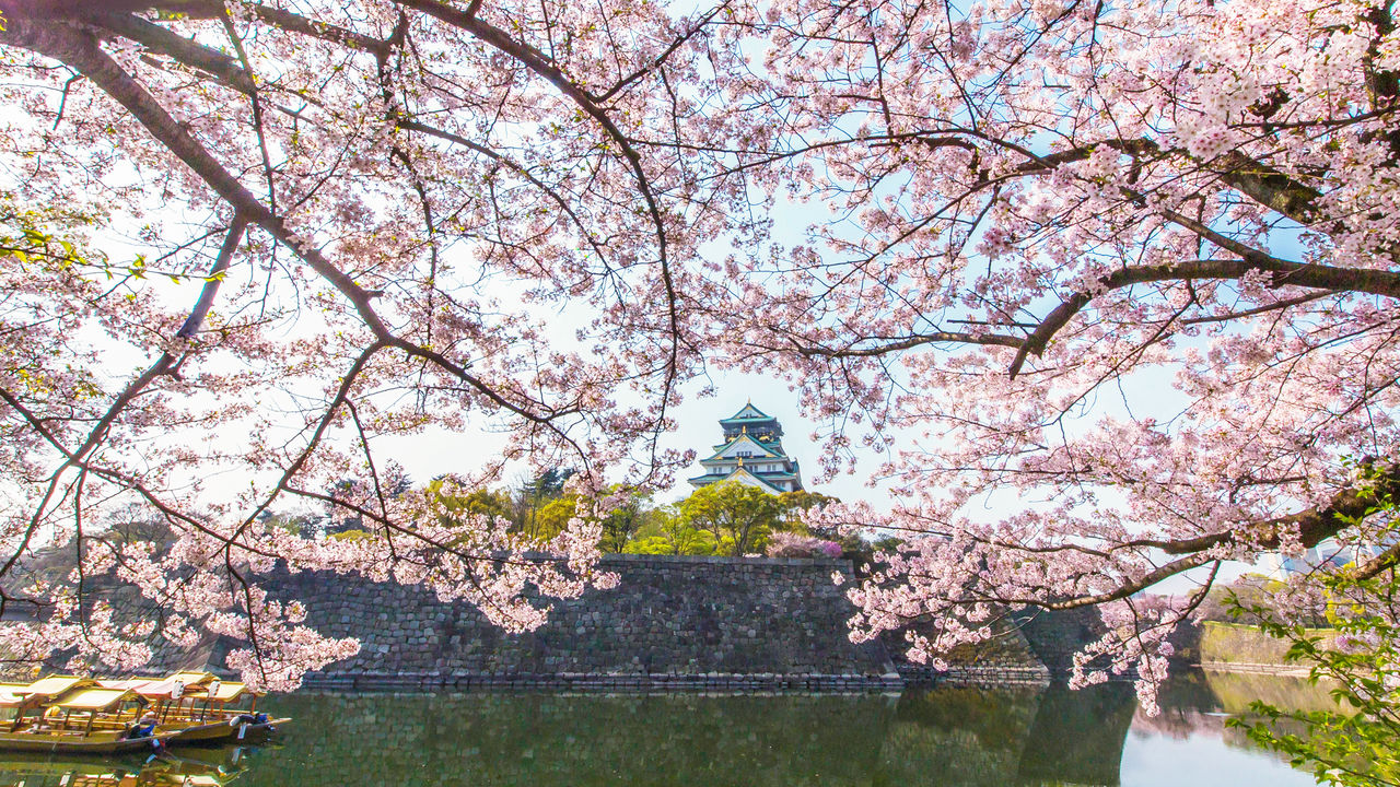 公園 梅林 城 大阪