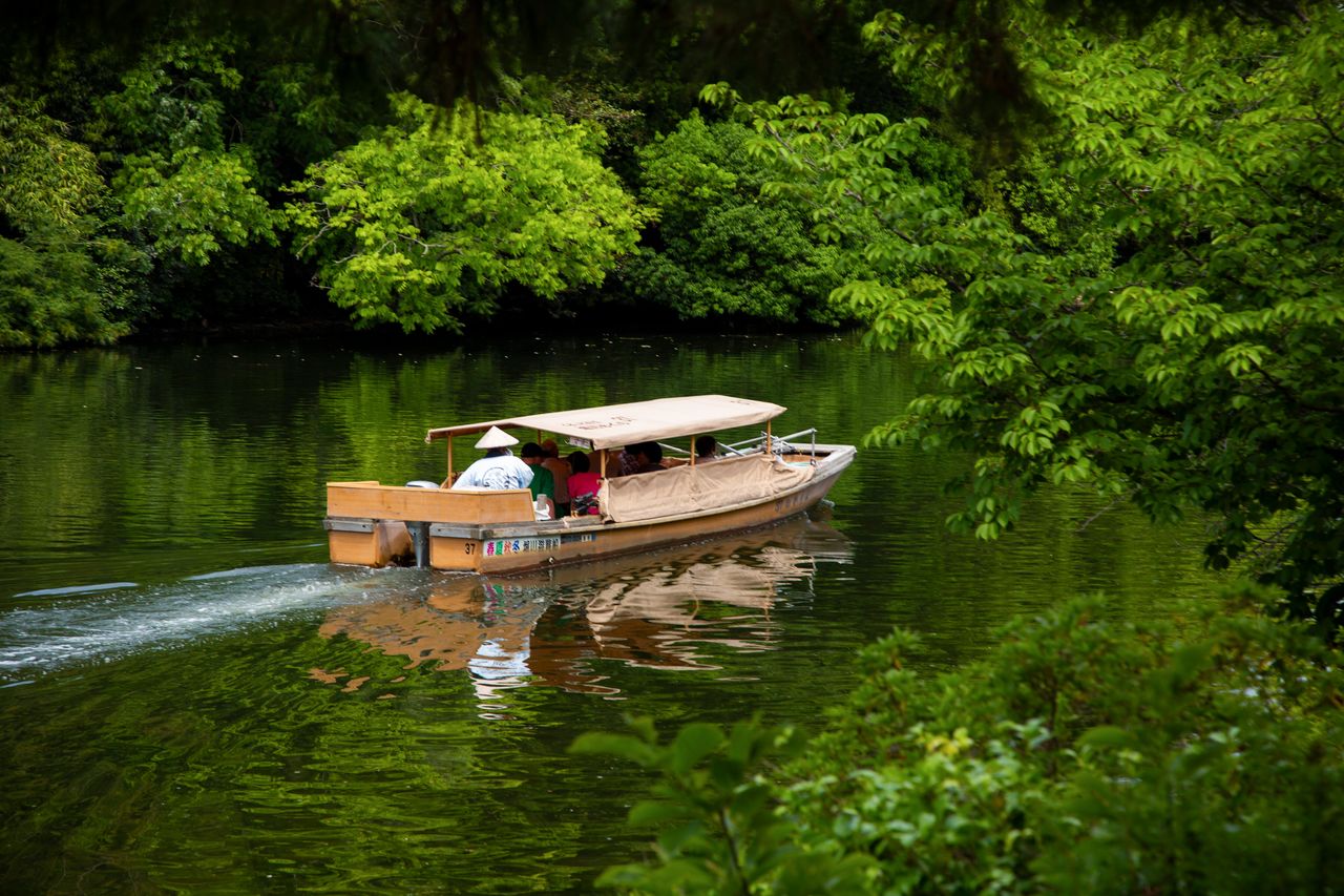 在美丽的新绿景色中悠然前行的游船