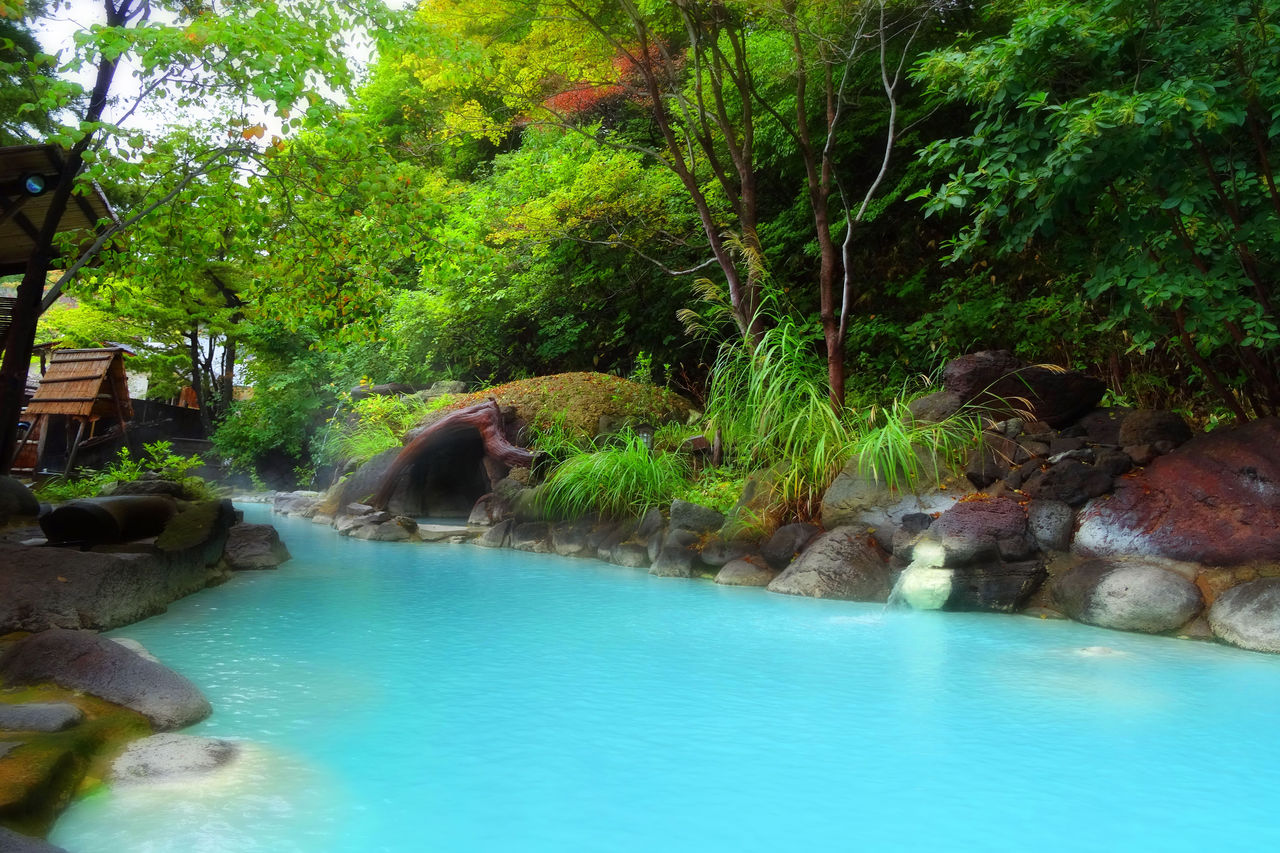 安达屋 大气之汤