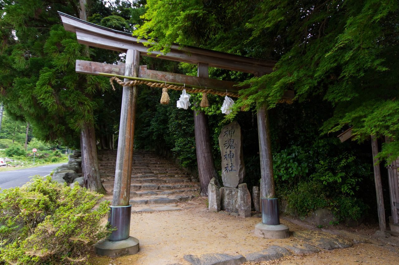 神魂神社的参拜小路。别具风味的自然石石阶一路向上延伸