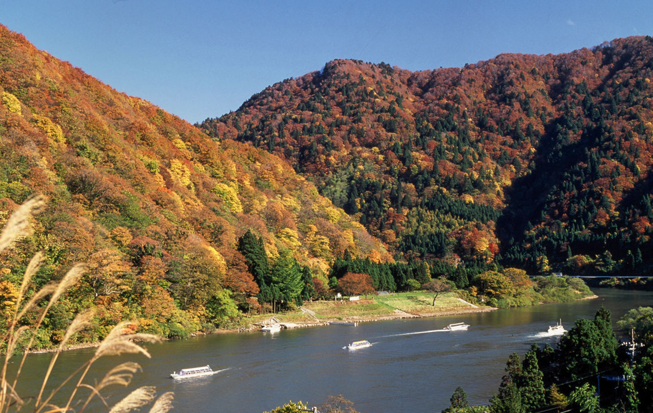 在船上悠闲地眺望最上峡的红叶　图片提供：户泽村观光物产协会