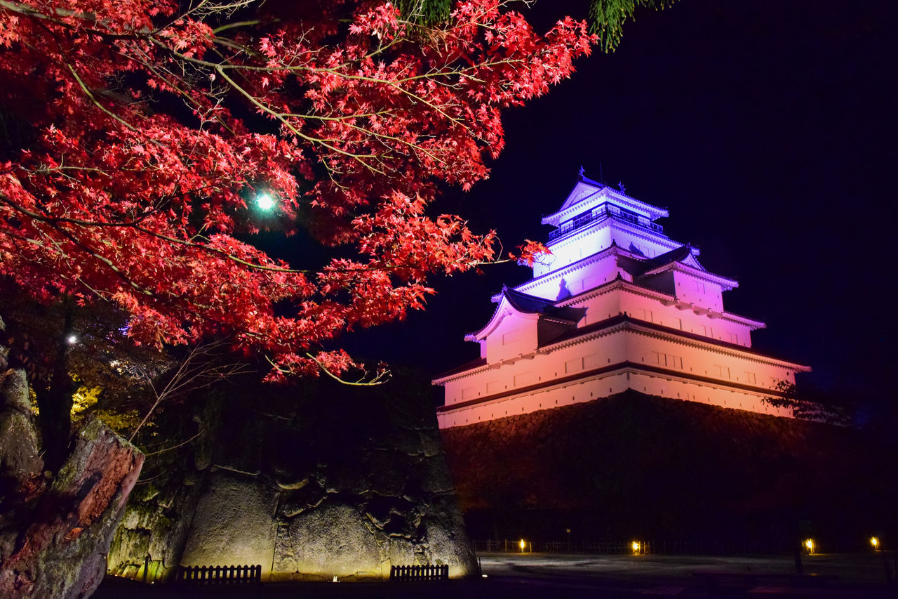 在灯光与红叶的交相映衬下，鹤之城梦幻般地迷人　图片提供：会津若松观光局