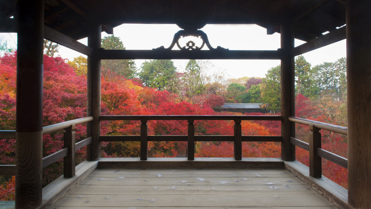 从通天桥的观景台观赏卧云桥一侧的红叶