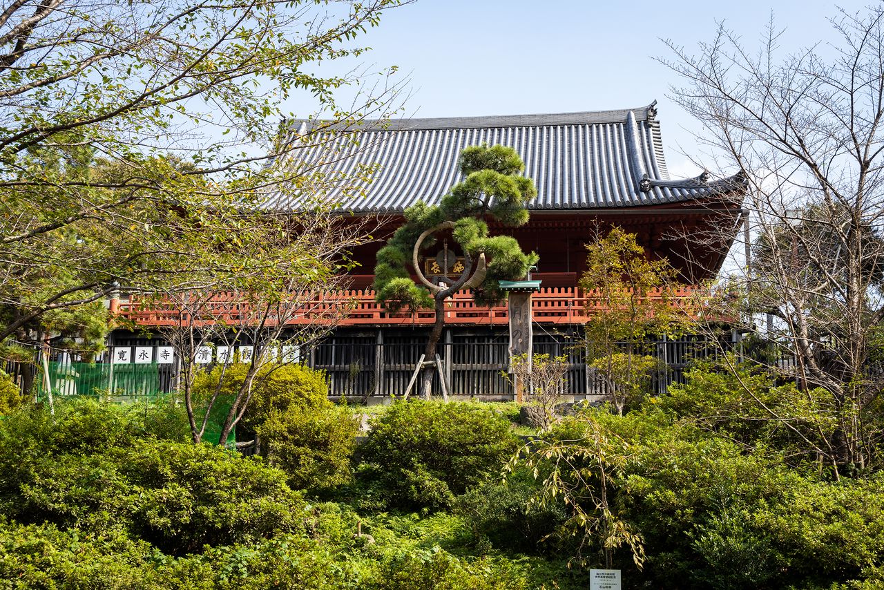 清水观音堂的舞台和有名的月之松坐落在不忍池附近的斜坡上