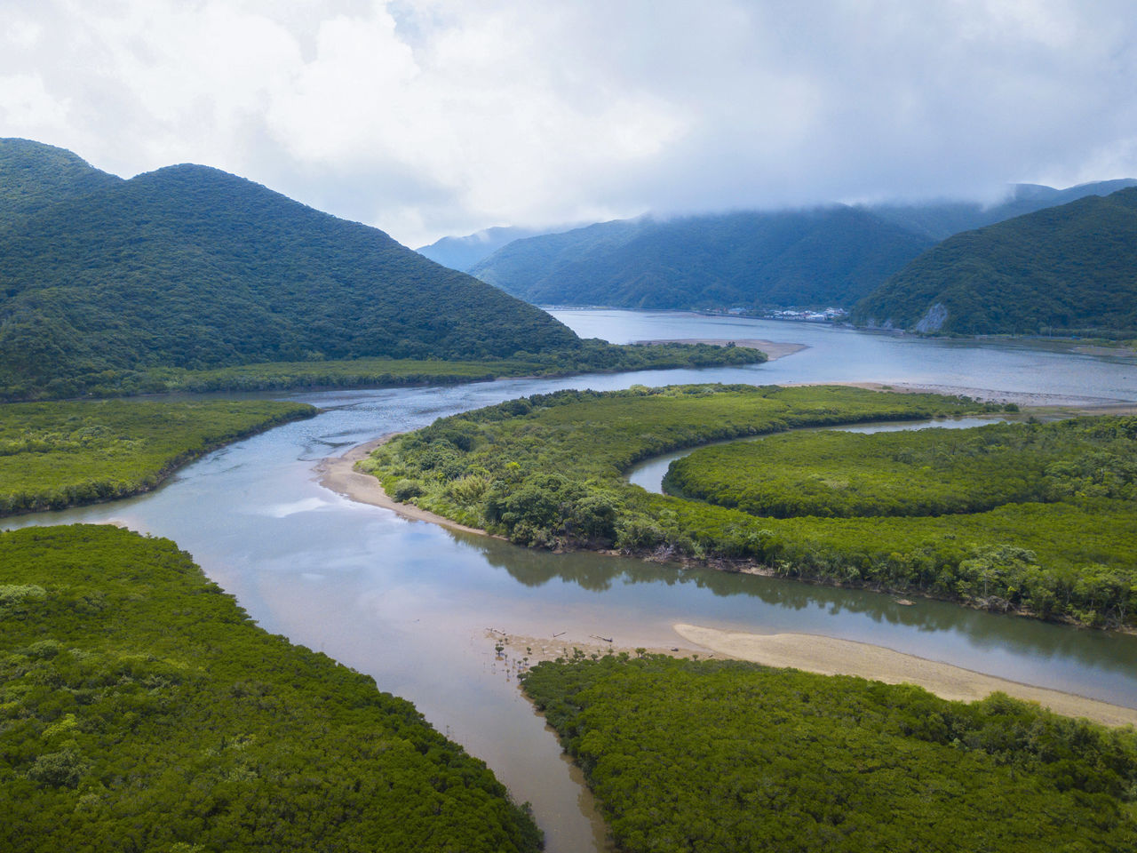 从空中俯瞰原始红树林