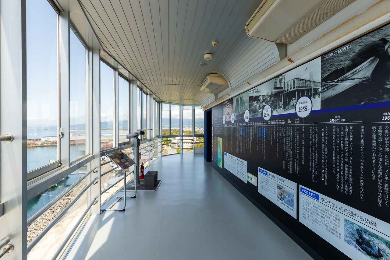位于北岸一侧的眺望走廊。在这里可以看到关于骏河湾、沼津港和View-O的解说板及视频