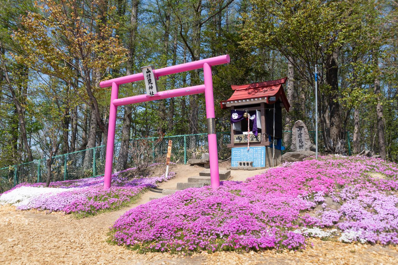 瞭望台前方供奉山神的“山津见神社”，这里也建有粉红色的“鸟居”