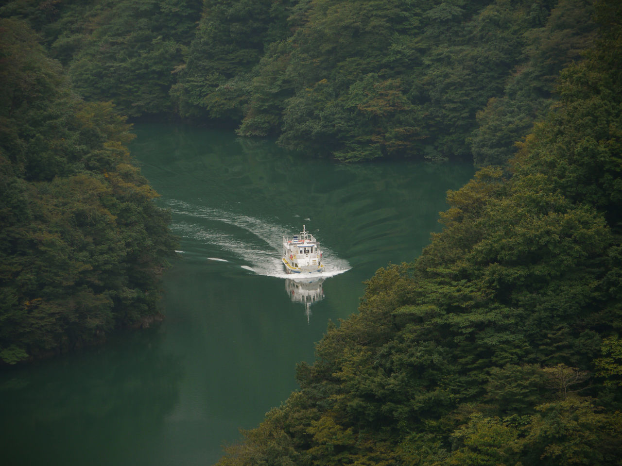 带你饱览庄川峡四季美景的游船